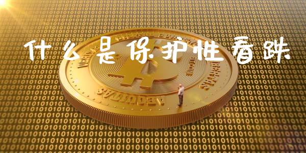 什么是保护性看跌_https://m.jnlaobingbanjia.com_全球市场_第1张