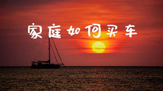 家庭如何买车_https://m.jnlaobingbanjia.com_金融监管_第1张