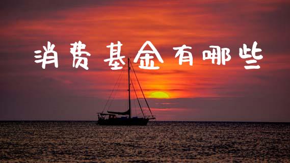消费基金有哪些_https://m.jnlaobingbanjia.com_基金市场_第1张