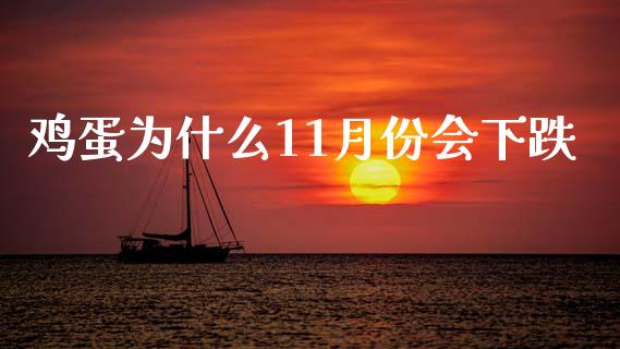 鸡蛋为什么11月份会下跌_https://m.jnlaobingbanjia.com_区块链_第1张