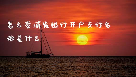怎么查浦发银行开户支行名称是什么_https://m.jnlaobingbanjia.com_全球市场_第1张