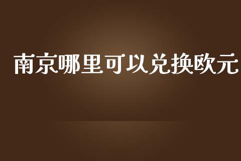 南京哪里可以兑换欧元_https://m.jnlaobingbanjia.com_金融监管_第1张