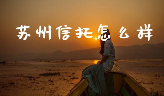 苏州信托怎么样_https://m.jnlaobingbanjia.com_金融监管_第1张