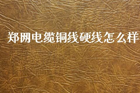 郑网电缆铜线硬线怎么样_https://m.jnlaobingbanjia.com_股市新闻_第1张