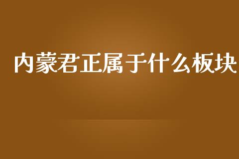 内蒙君正属于什么板块_https://m.jnlaobingbanjia.com_区块链_第1张