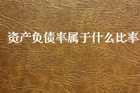 资产负债率属于什么比率_https://m.jnlaobingbanjia.com_区块链_第1张