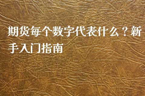 期货每个数字代表什么？新手入门指南_https://m.jnlaobingbanjia.com_理财规划_第1张