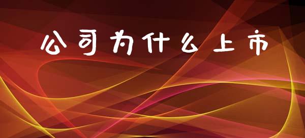 公司为什么上市_https://m.jnlaobingbanjia.com_基金市场_第1张