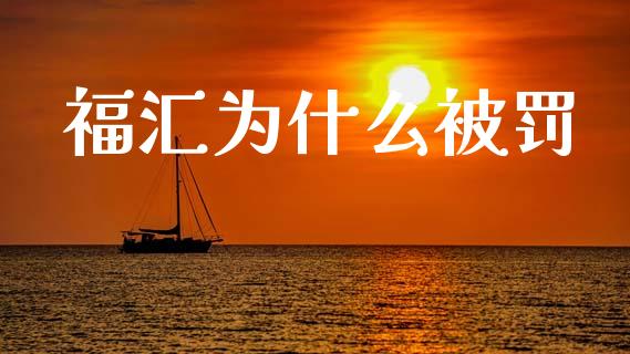 福汇为什么被罚_https://m.jnlaobingbanjia.com_股市新闻_第1张