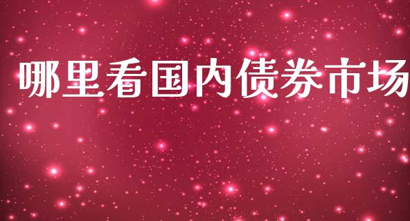 哪里看国内债券市场_https://m.jnlaobingbanjia.com_股市新闻_第1张