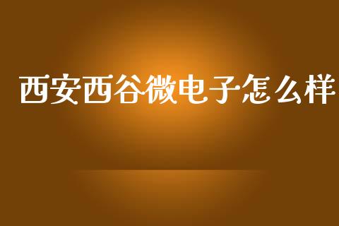 西安西谷微电子怎么样_https://m.jnlaobingbanjia.com_全球市场_第1张