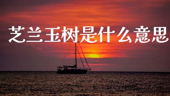 芝兰玉树是什么意思_https://m.jnlaobingbanjia.com_股市新闻_第1张