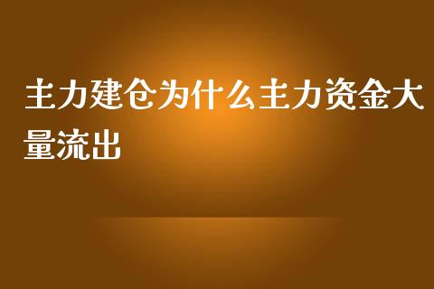 主力建仓为什么主力资金大量流出_https://m.jnlaobingbanjia.com_股市新闻_第1张