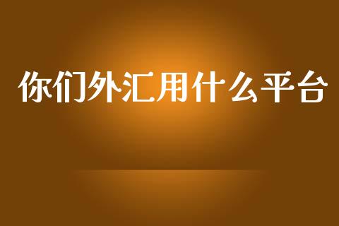 你们外汇用什么平台_https://m.jnlaobingbanjia.com_基金市场_第1张