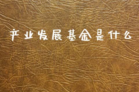 产业发展基金是什么_https://m.jnlaobingbanjia.com_股市新闻_第1张