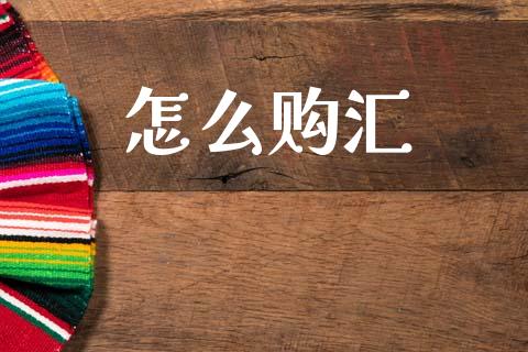 怎么购汇_https://m.jnlaobingbanjia.com_金融监管_第1张