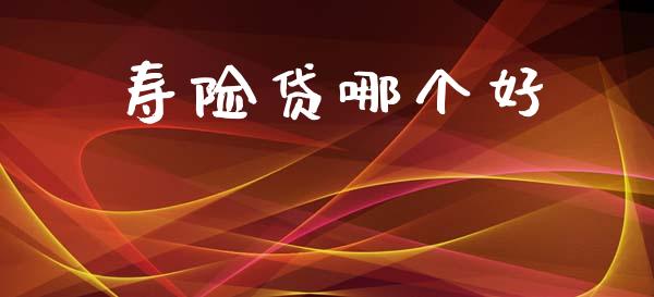 寿险贷哪个好_https://m.jnlaobingbanjia.com_理财规划_第1张
