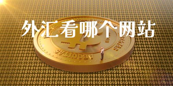 外汇看哪个网站_https://m.jnlaobingbanjia.com_基金市场_第1张