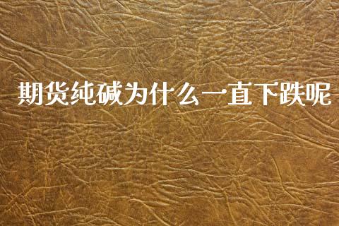 期货纯碱为什么一直下跌呢_https://m.jnlaobingbanjia.com_金融监管_第1张