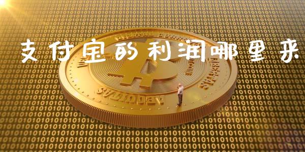 支付宝的利润哪里来_https://m.jnlaobingbanjia.com_金融监管_第1张