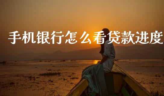 手机银行怎么看贷款进度_https://m.jnlaobingbanjia.com_基金市场_第1张