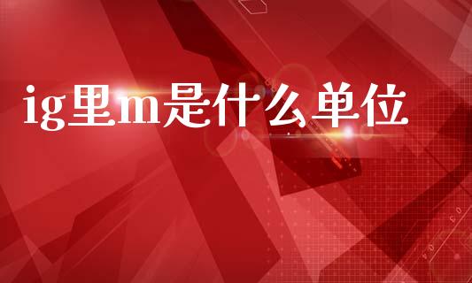ig里m是什么单位_https://m.jnlaobingbanjia.com_基金市场_第1张