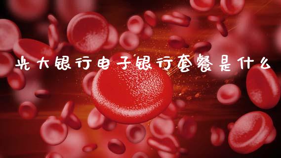 光大银行电子银行套餐是什么_https://m.jnlaobingbanjia.com_全球市场_第1张
