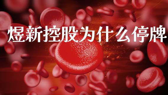 煜新控股为什么停牌_https://m.jnlaobingbanjia.com_理财规划_第1张