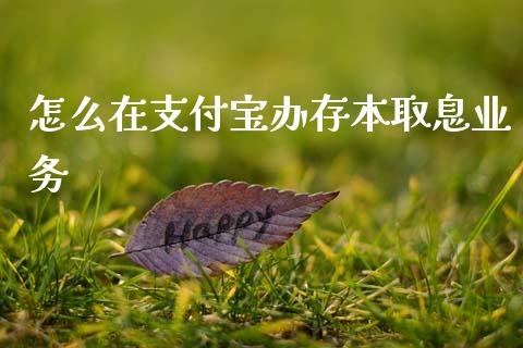 怎么在支付宝办存本取息业务_https://m.jnlaobingbanjia.com_金融监管_第1张