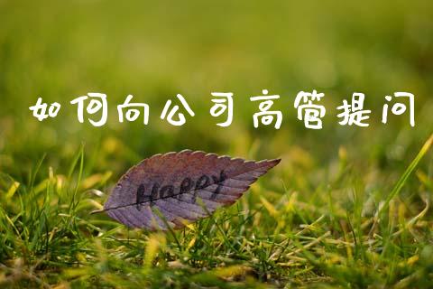 如何向公司高管提问_https://m.jnlaobingbanjia.com_金融监管_第1张