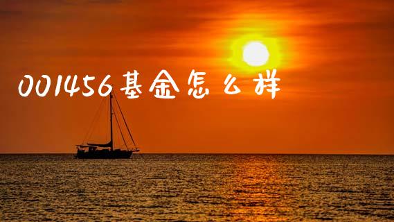 001456基金怎么样_https://m.jnlaobingbanjia.com_全球市场_第1张