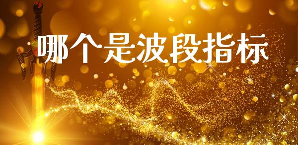 哪个是波段指标_https://m.jnlaobingbanjia.com_全球市场_第1张