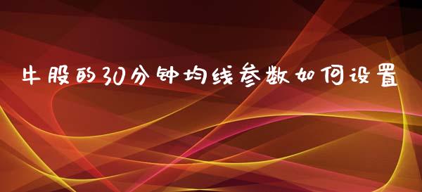 牛股的30分钟均线参数如何设置_https://m.jnlaobingbanjia.com_股市新闻_第1张