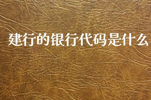 建行的银行代码是什么_https://m.jnlaobingbanjia.com_基金市场_第1张