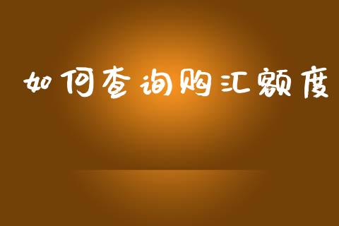 如何查询购汇额度_https://m.jnlaobingbanjia.com_区块链_第1张