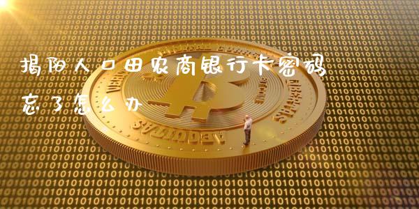 揭阳人口田农商银行卡密码忘了怎么办_https://m.jnlaobingbanjia.com_理财规划_第1张