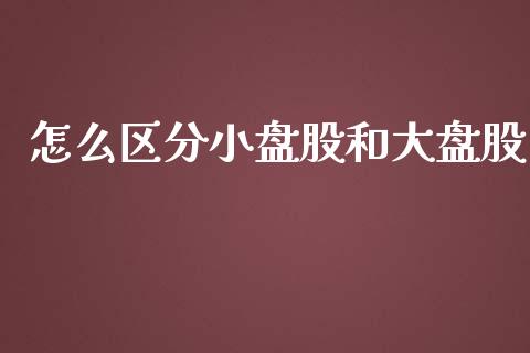 怎么区分小盘股和大盘股_https://m.jnlaobingbanjia.com_全球市场_第1张