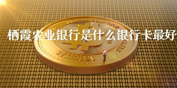 栖霞农业银行是什么银行卡最好_https://m.jnlaobingbanjia.com_金融监管_第1张