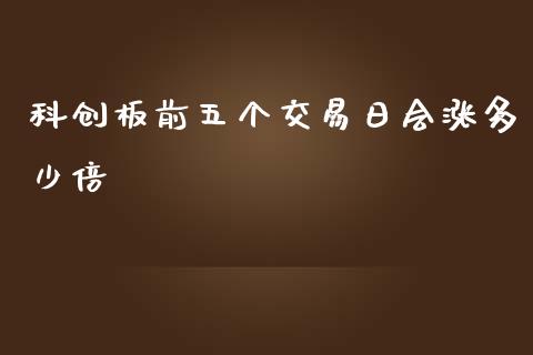 科创板前五个交易日会涨多少倍_https://m.jnlaobingbanjia.com_理财规划_第1张