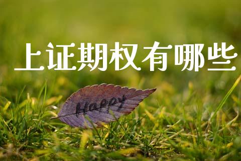 上证期权有哪些_https://m.jnlaobingbanjia.com_全球市场_第1张
