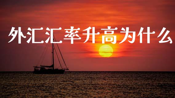 外汇汇率升高为什么_https://m.jnlaobingbanjia.com_金融监管_第1张