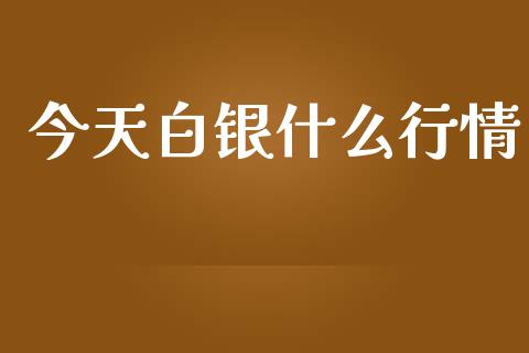 今天白银什么行情_https://m.jnlaobingbanjia.com_理财规划_第1张