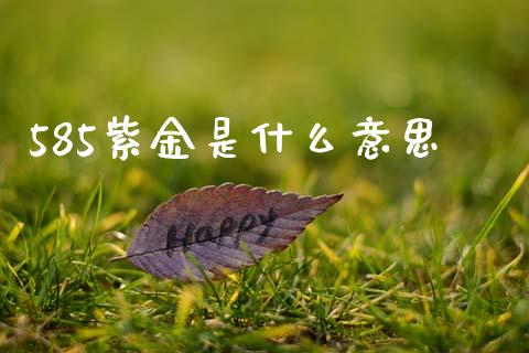 585紫金是什么意思_理财规划_第1张_全球市场_股市新闻_理财规划_金融监管_区块链_基金市场 585紫金是什么意思_https://m.jnlaobingbanjia.com_理财规划_第1张