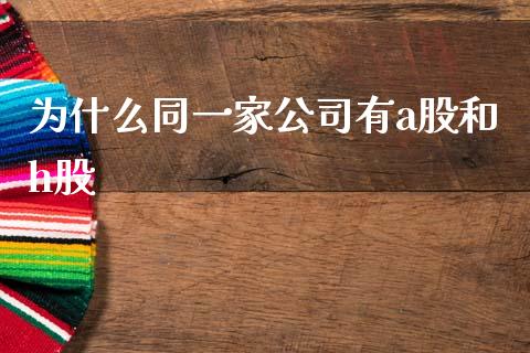 为什么同一家公司有a股和h股_https://m.jnlaobingbanjia.com_全球市场_第1张