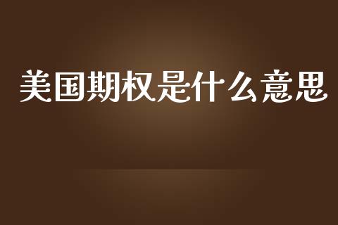 美国期权是什么意思_https://m.jnlaobingbanjia.com_区块链_第1张