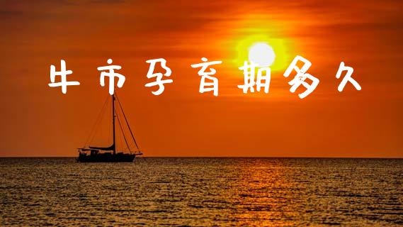 牛市孕育期多久_https://m.jnlaobingbanjia.com_金融监管_第1张