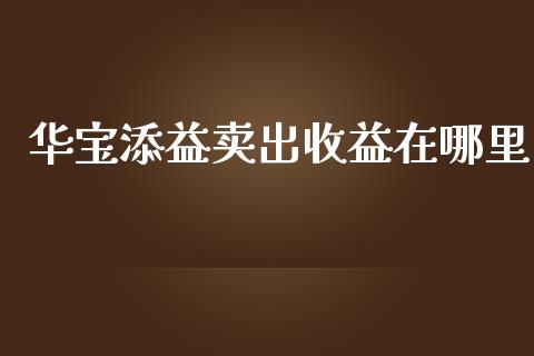 华宝添益卖出收益在哪里_https://m.jnlaobingbanjia.com_股市新闻_第1张