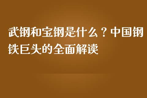 武钢和宝钢是什么？中国钢铁巨头的全面解读_https://m.jnlaobingbanjia.com_区块链_第1张