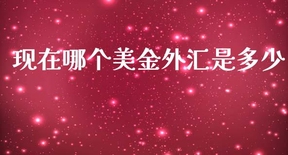 现在哪个美金外汇是多少_https://m.jnlaobingbanjia.com_全球市场_第1张