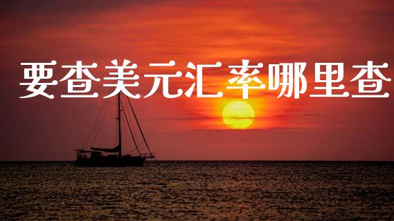 要查美元汇率哪里查_https://m.jnlaobingbanjia.com_基金市场_第1张